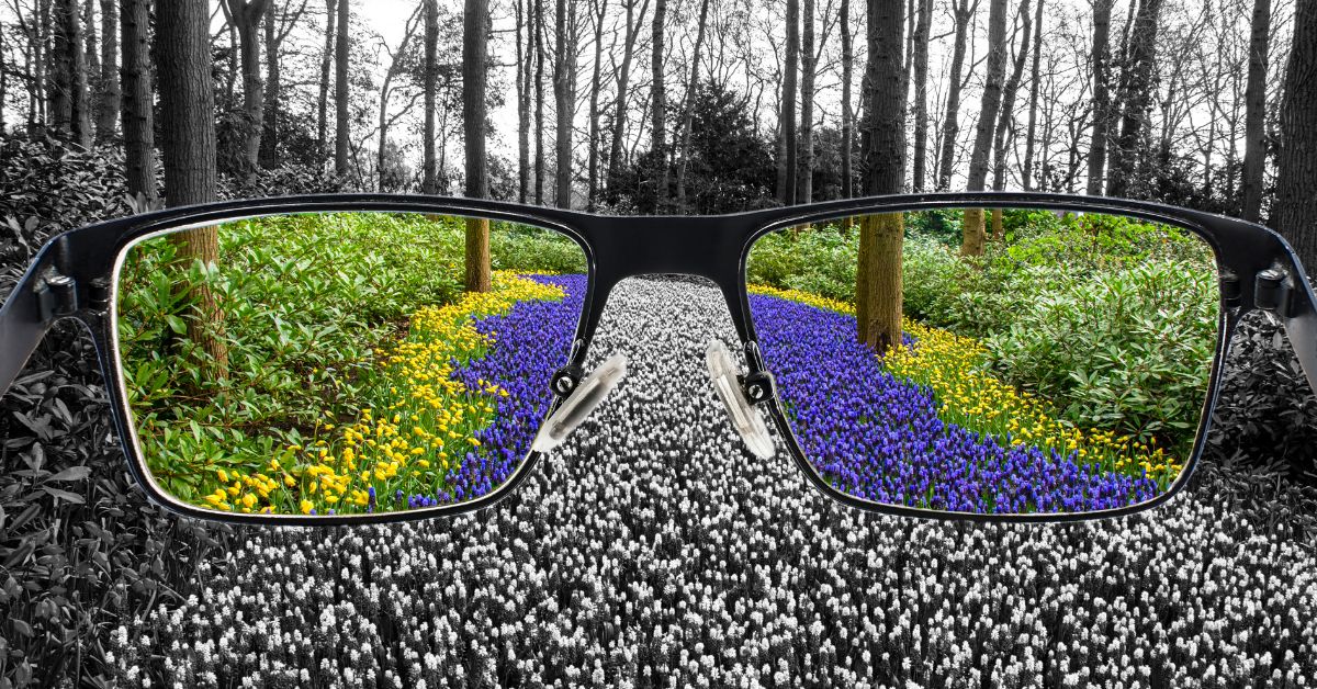 Color Blindness Explained: Types, Tests and Everyday Impacts associated image